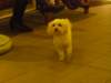 NWK 2012 059_small.jpg